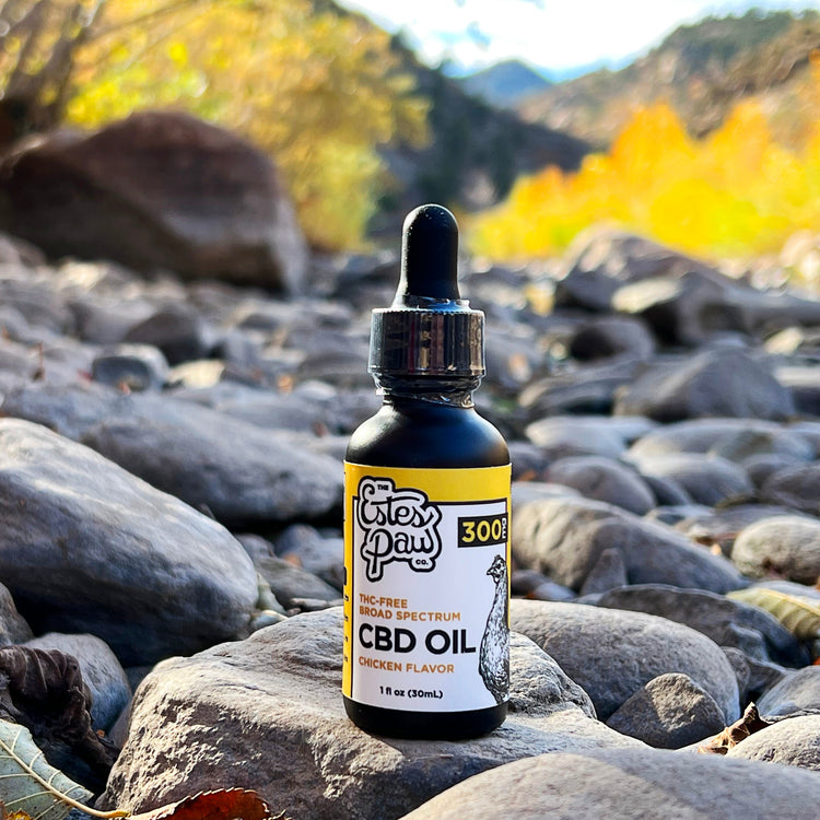 Chicken CBD Tincture