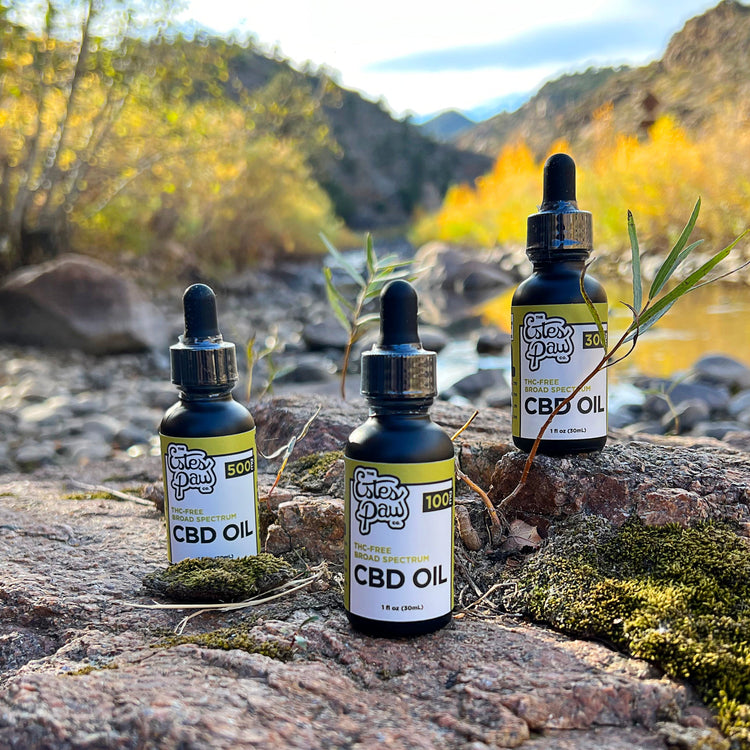Unflavored CBD Tincture
