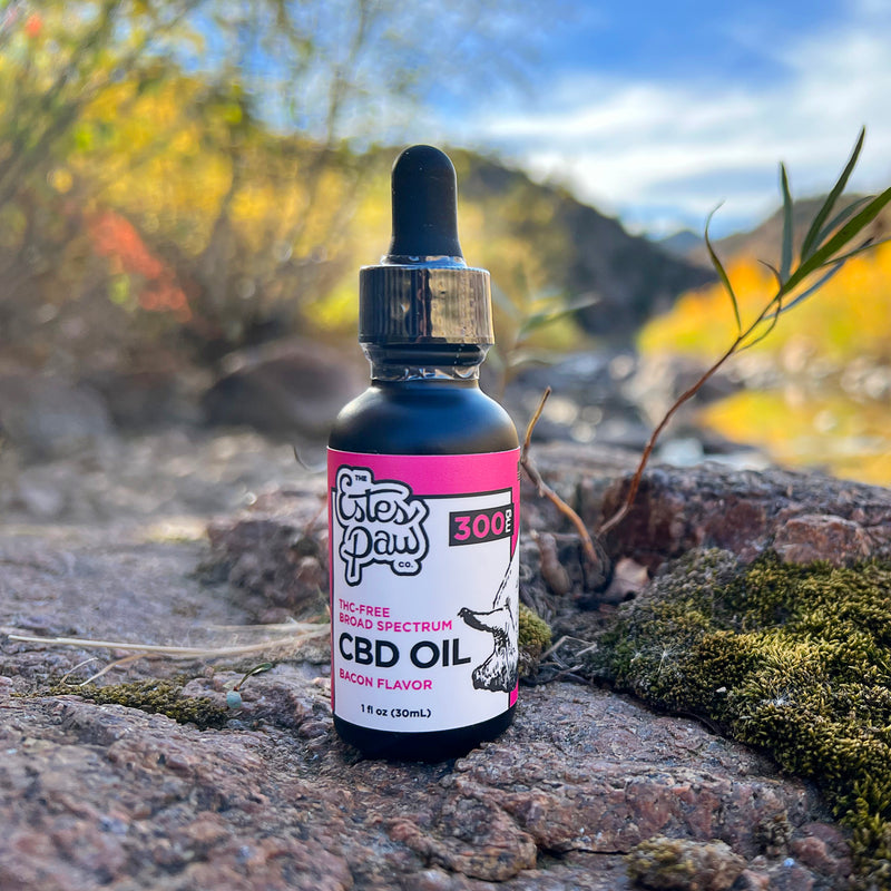 Load image into Gallery viewer, CBD OIL TINCTURE | BACON FLAVORED | 300MG
