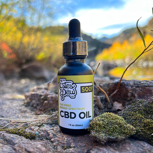 CBD OIL TINCTURE | UNFLAVORED | 500MG