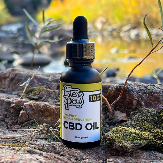 CBD OIL TINCTURE | UNFLAVORED | 100MG